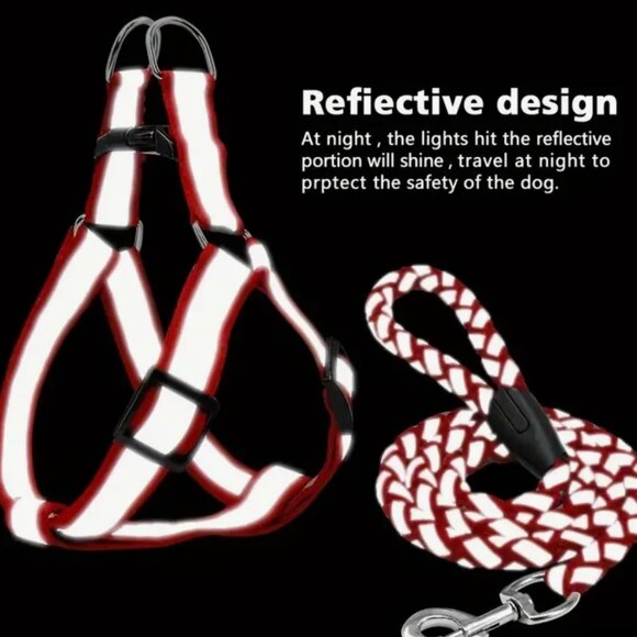 Reflective Dog Harness & Leash Set, Comfortable and Safe for Walking or Training - Picture 2 of 8